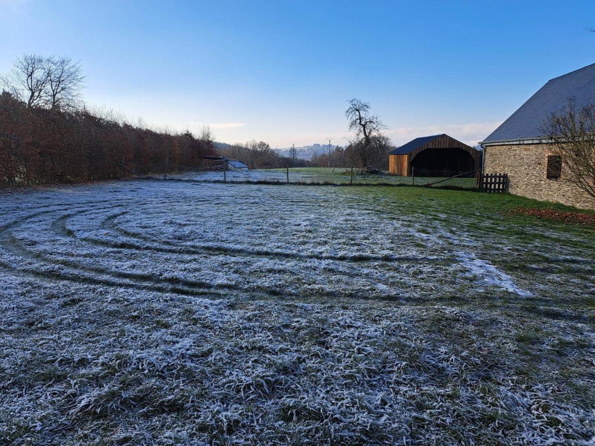 Gite L'Olivier A Filly - Nadrin, Entre Houffalize Et La Roche-En-Ardenne Kültér fotó