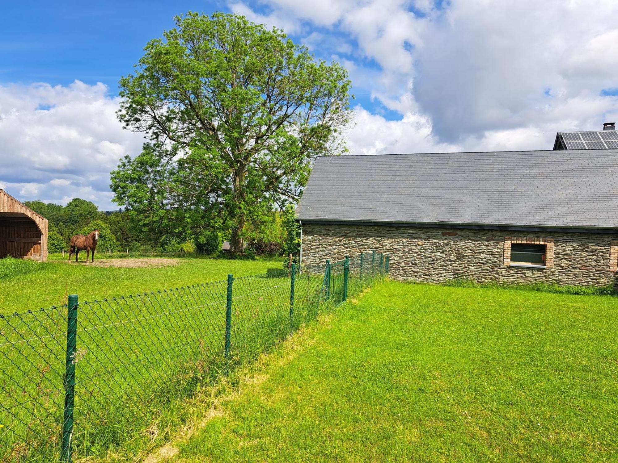 Gite L'Olivier A Filly - Nadrin, Entre Houffalize Et La Roche-En-Ardenne Kültér fotó